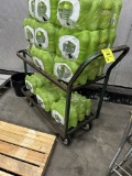 38IN X 18IN TWO-TIER CARTS