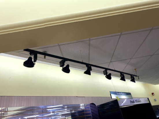 BLACK TRACK LIGHT ABOVE FLORAL CASE