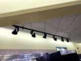 BLACK TRACK LIGHT ABOVE FLORAL CASE