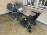 AMIGO SMART CHAIR AND CAROLINE'S CART
