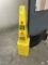 WET FLOOR CONES