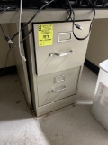 TWO DRAWER FILE CABINETS