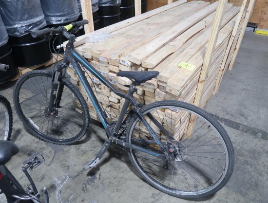 Giant 21 speed bicycle