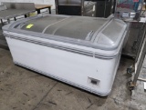 AHT portable freezer
