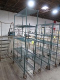 wire shelving unit, epoxy coated, on casters