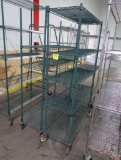 wire shelving units, epoxy coated, on casters