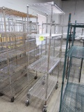 wire shelving unit, on casters