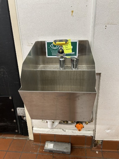 STAINLESS HAND SINK W/ EYEWASH