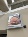 STEAK IMAGE W/ FRAME