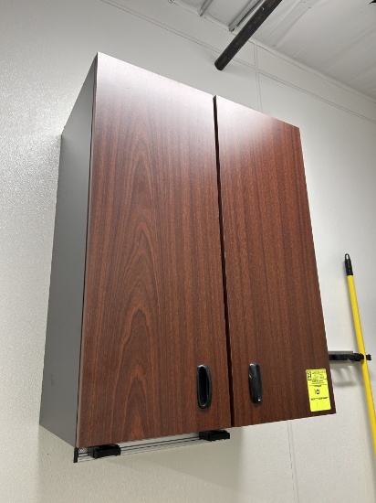 27IN X 35IN WALL MOUNTED CABINET