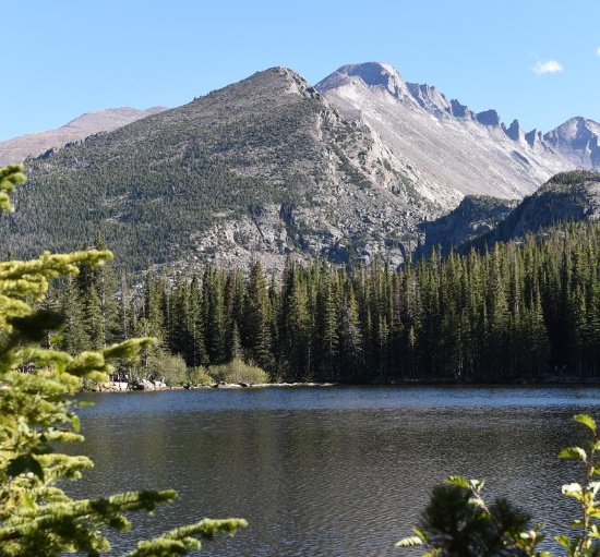 Good luck bidding! Auction closes 12/11 at 11:00 am Eastern time.