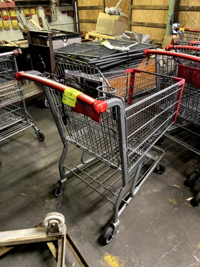 Standard Size Shopping Cart