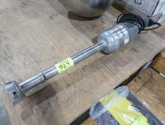 Robot Coupe immersion blender