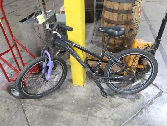 Sidewinder bike