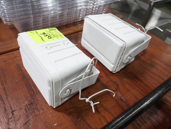 Bose surface mount speakers