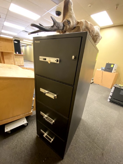 Phoenix Fire Resistant Cabinet