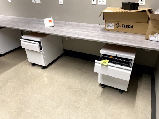 WHITE TWO DRAWER FILE CABINETS