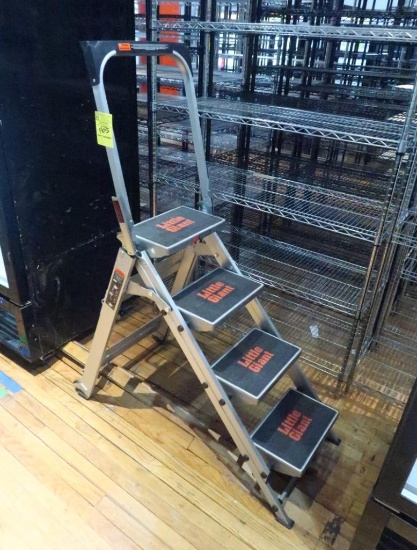 Little Giant 4-step stool