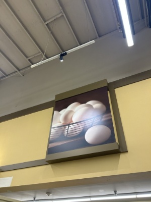Eggs Photo
