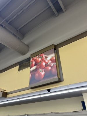 Tomato Photo