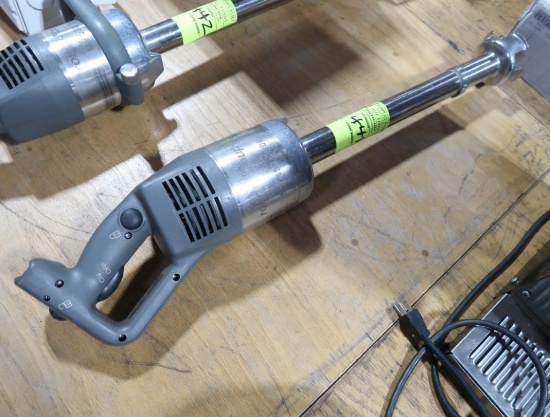 Robot Coupe immersion blender