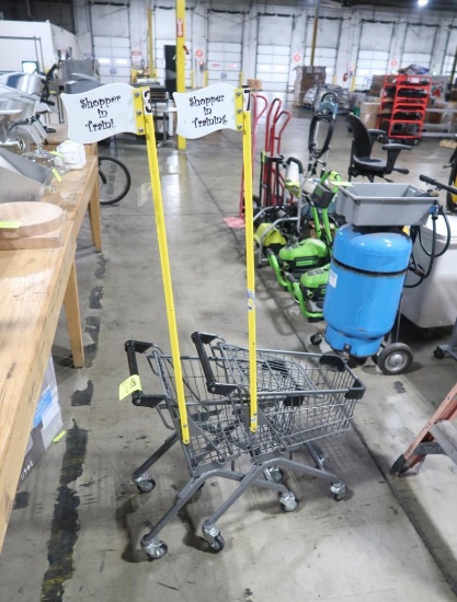 kid's shopping carts