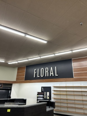 Floral Wall Lettering