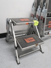 Little Giant 2-step stool