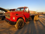 Ford F800 Flatbed Truck