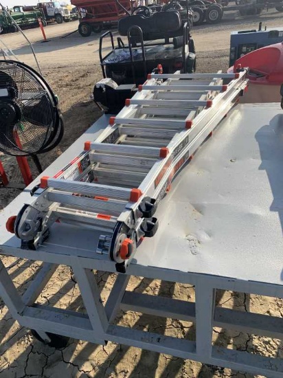 Little Giant Leveler Ladder