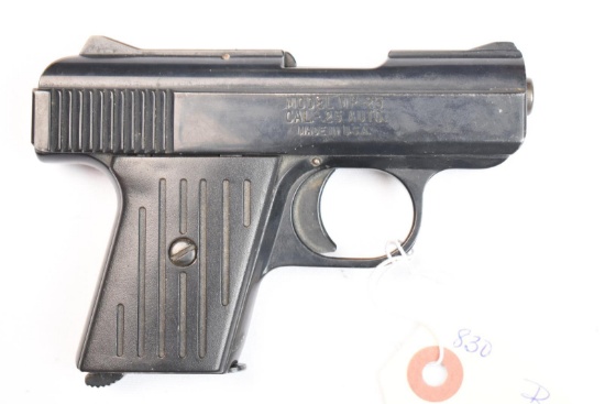 RAVEN ARMS MP25