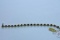 14 KT GOLD DIAMOND & SAPPHIRE 9 GTW, $649.00 RETAIL VALUE