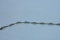 14KT GOLD DIAMOND BRACELET 1CT DIAMOND TW, 7.5 GTW, $795.00 RETAIL VALUE