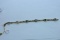 10KT MULTI STONE BRACELET 10 GTW, $489.00 RETAIL VALUE