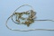 MULTI 14KT GOLD CHAINS 6.2 GTW