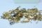 MISC 10KT GOLD 73 GTW