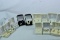 12 PAIRS 14KT EARRINGS