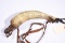 ENGRAVED POWDER HORN