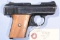 RAVEN MP 25