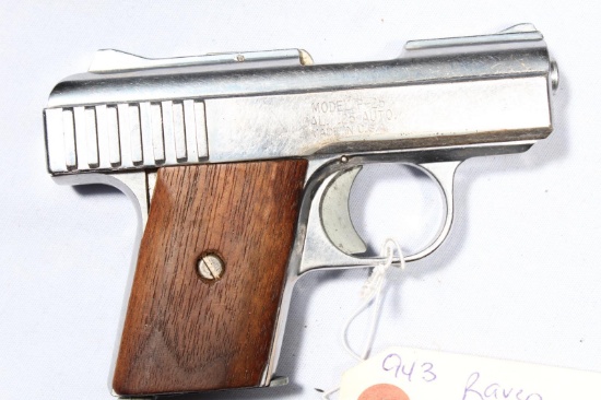 RAVEN P25, SN 532440, 25 CAL PISTOL B40-P15