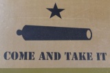 520 ROUNDS UNOPENED CAN 223 AMMO
