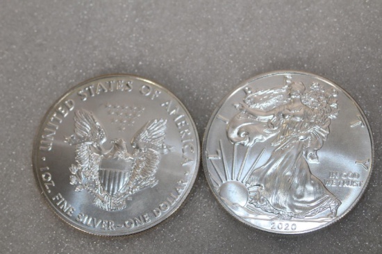 2019-2020 WALKING LIBERTY DOLLAR