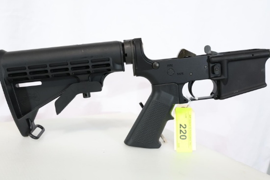PALMETTO STATE ARMORY PA15, SN LW192691,