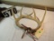 Deer antlers