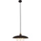 New Living District hanging light 3 light fixture