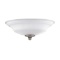 new Savoy House ceiling fan light 2JDEX50W