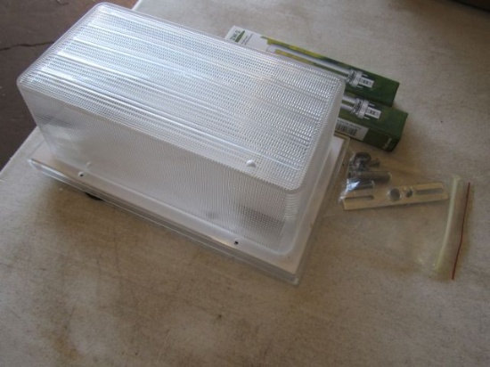 Plain white LED wall fixture with 2 bulbs included  6" x 10" frosted lense