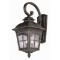 Transglobe Carriage Light #5429AR