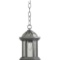 Quorum #7814-72 Stelton - 1-Light Small Hanging Lantern, Rustic Silver Finish with Clear Glass