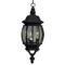 Exteriors Outdoor Hanging Porch Light #Z331-05